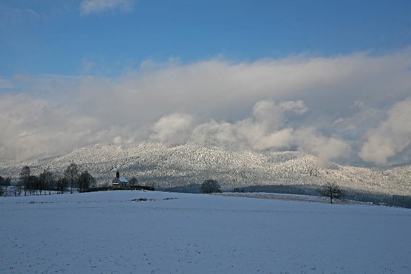 Bayerwald Tierpark_30.jpg